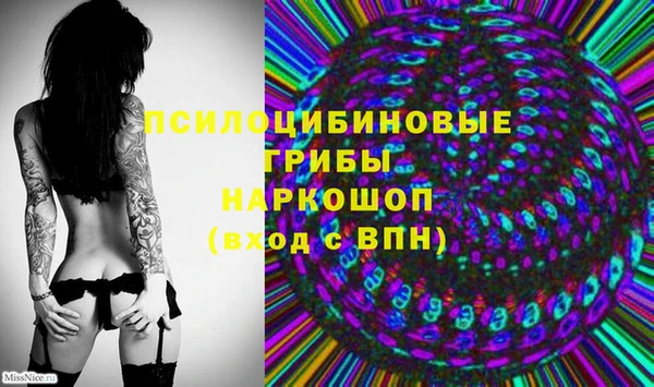 стаф Бородино