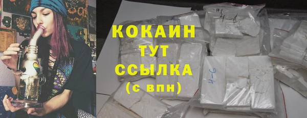 стаф Бородино