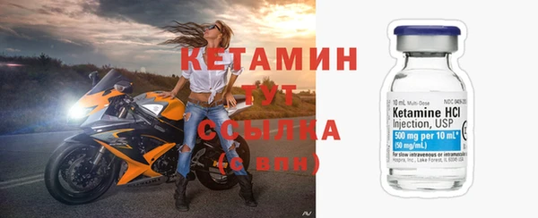 стаф Бородино
