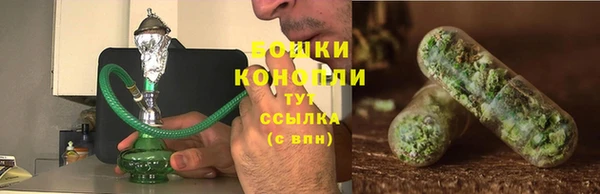 стаф Бородино