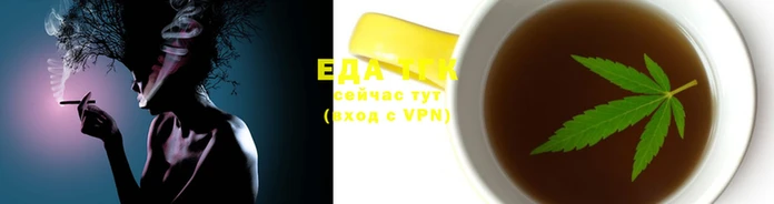 стаф Бородино