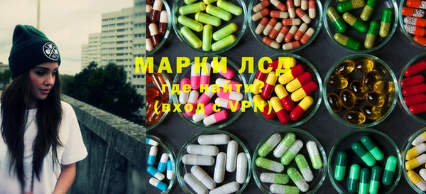 стаф Бородино