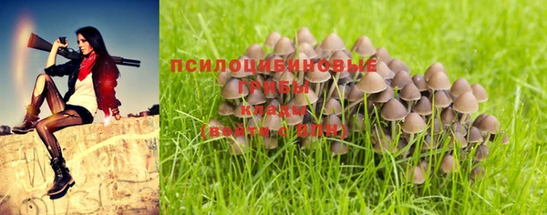 a pvp Бугульма