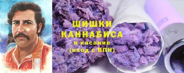 стаф Бородино