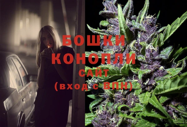 стаф Бородино
