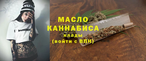 стаф Бородино