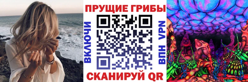 Галлюциногенные грибы Magic Shrooms  Купить  Елизаветинская 